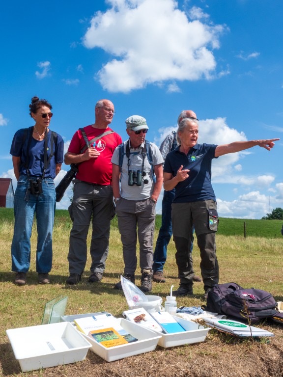 Ontdek de kracht en veelzijdigheid van de IJssel